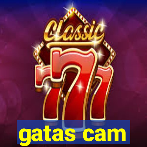 gatas cam
